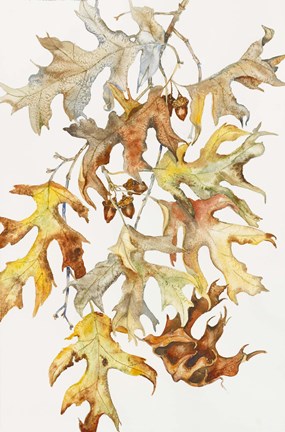 Framed Rust Colored Oak Leaves Print