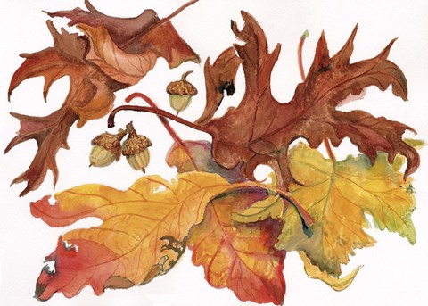 Framed Leaves And Acorns Print