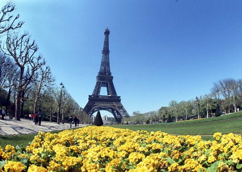 Framed Eiffel Tower, Paris, France Print