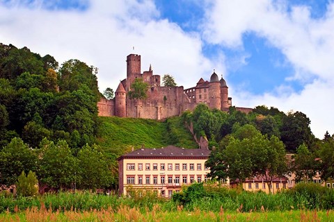 Framed Wertheim Castle, Germany Print