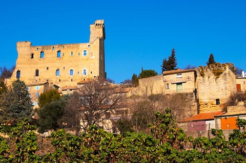 Framed Ruins of the Pope&#39;s Summer Castle in Chateauneuf-du-Pape Print