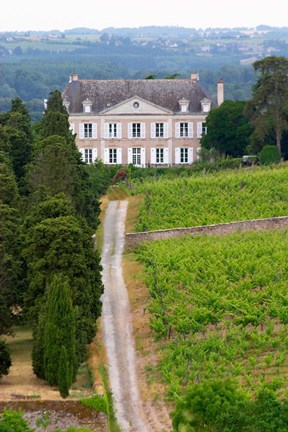 Framed Chateau de la Coulee de Serrant, Loire Valley Print