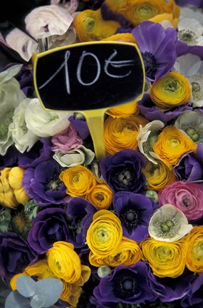 Framed Flower Bunches, Aix En Provence, France Print