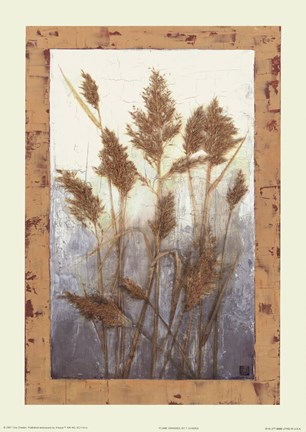 Framed Plume Grasses Print
