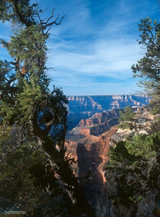 Framed Grand Canyon E Print