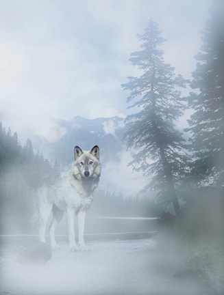 Framed White Mist Wolf 2 Print