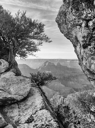 Framed Grand Canyon 7 Print
