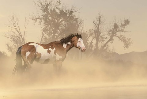 Framed Misty River Horse Print