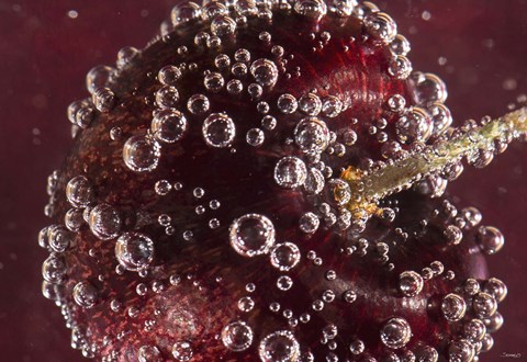 Framed Marroon Fruit Closeup With Raindrops II Print