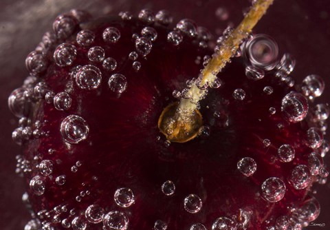 Framed Marroon Fruit Closeup With Raindrops I Print