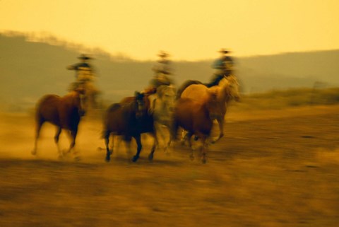 Framed Cowboys And Rushing Horses Print