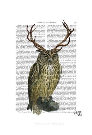 Framed Owl with Antlers plain Print