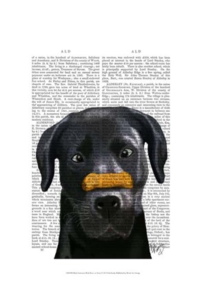 Framed Black Labrador With Bone on Nose Print