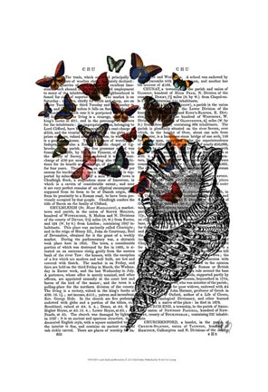 Framed Conch Shell and Butterflies Print