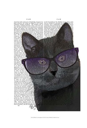 Framed Black Cat with Sunglasses Print