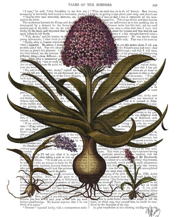 Framed Vintage Hyacinth Print