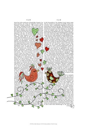 Framed Love Birds Illustration Print