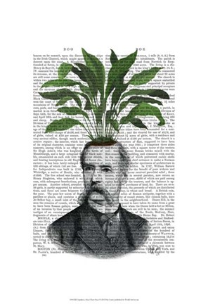 Framed Aspidistra Head Plant Head Print