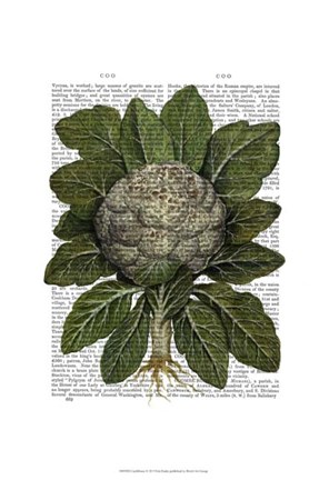 Framed Cauliflower Print