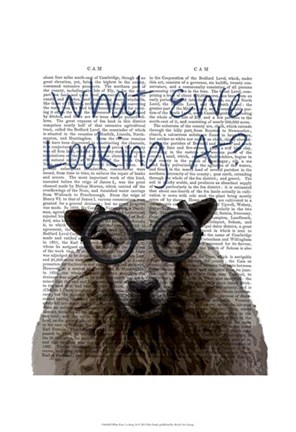 Framed What Ewe Looking At Print