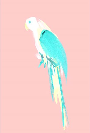 Framed Summer Parrot Print