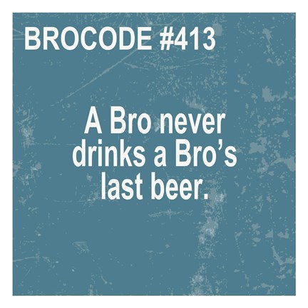 Framed Bro Code 413 Print
