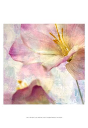 Framed Pink Hyacinth V Print