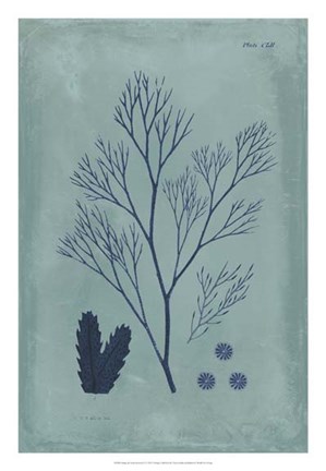 Framed Indigo &amp; Azure Seaweed V Print