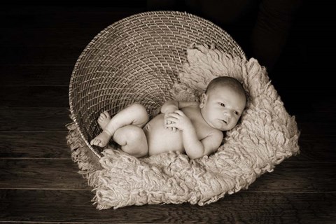 Framed Baby in Basket 1 Print