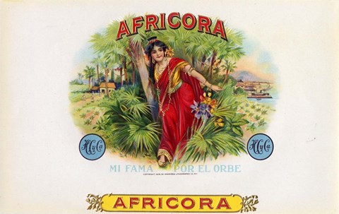 Framed Africora Print