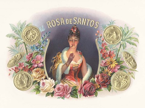 Framed Rosa De Santos Print