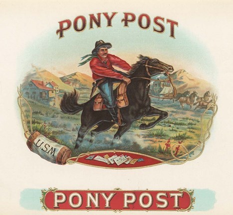 Framed Pony Post Print