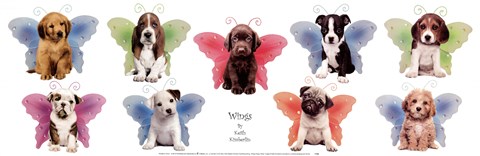 Framed Wings Puppy Panel Print