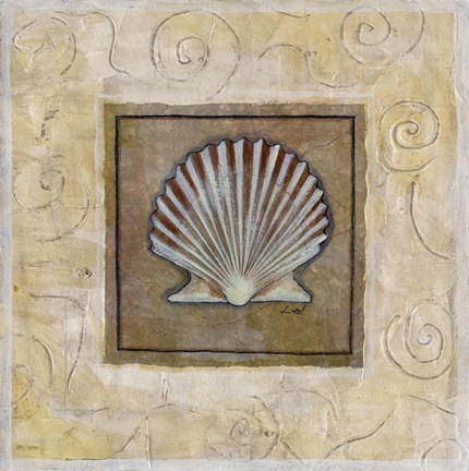 Framed Sea Shell I Print