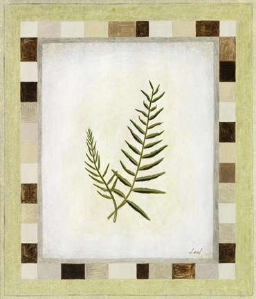 Framed Fern II Print