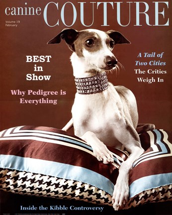 Framed Canine Couture-Best In Show Print
