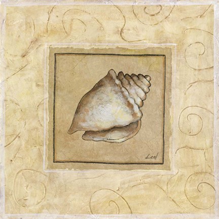 Framed Conch Shell Print