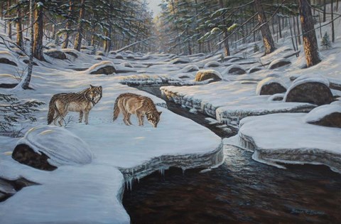 Framed Rocky River Wolves Print