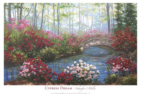 Framed Cypress Dream Print