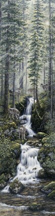 Framed Cascade Wolves Print