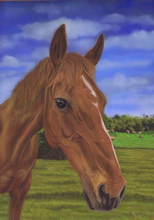 Framed Field Horse Print