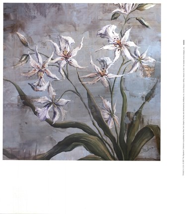 Framed Orchid Study In White Print