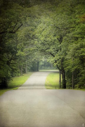 Framed Summer Morning Stroll Print