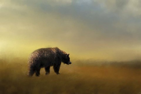 Framed Where The Grizzly Roams Print