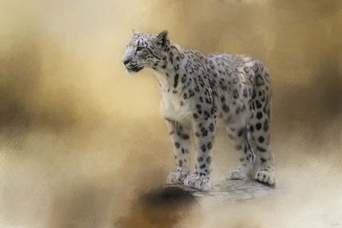 Framed Snow Leopard Print