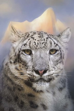 Framed Snow Leopard At The Mountain Print