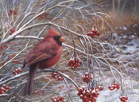 Framed Cardinal and Berries Print