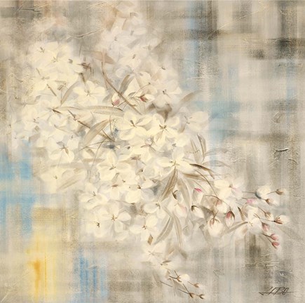 Framed White Cherry Blossom III Print