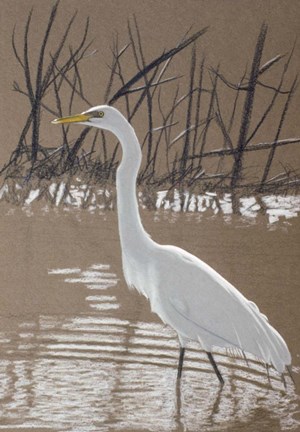 Framed Great Egret Print