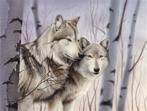 Framed Two Wolves In The Birches Print